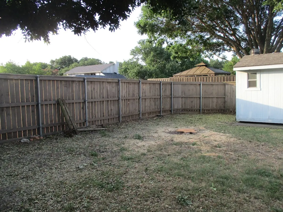 Cleared yard after professional tree removal in West Creek