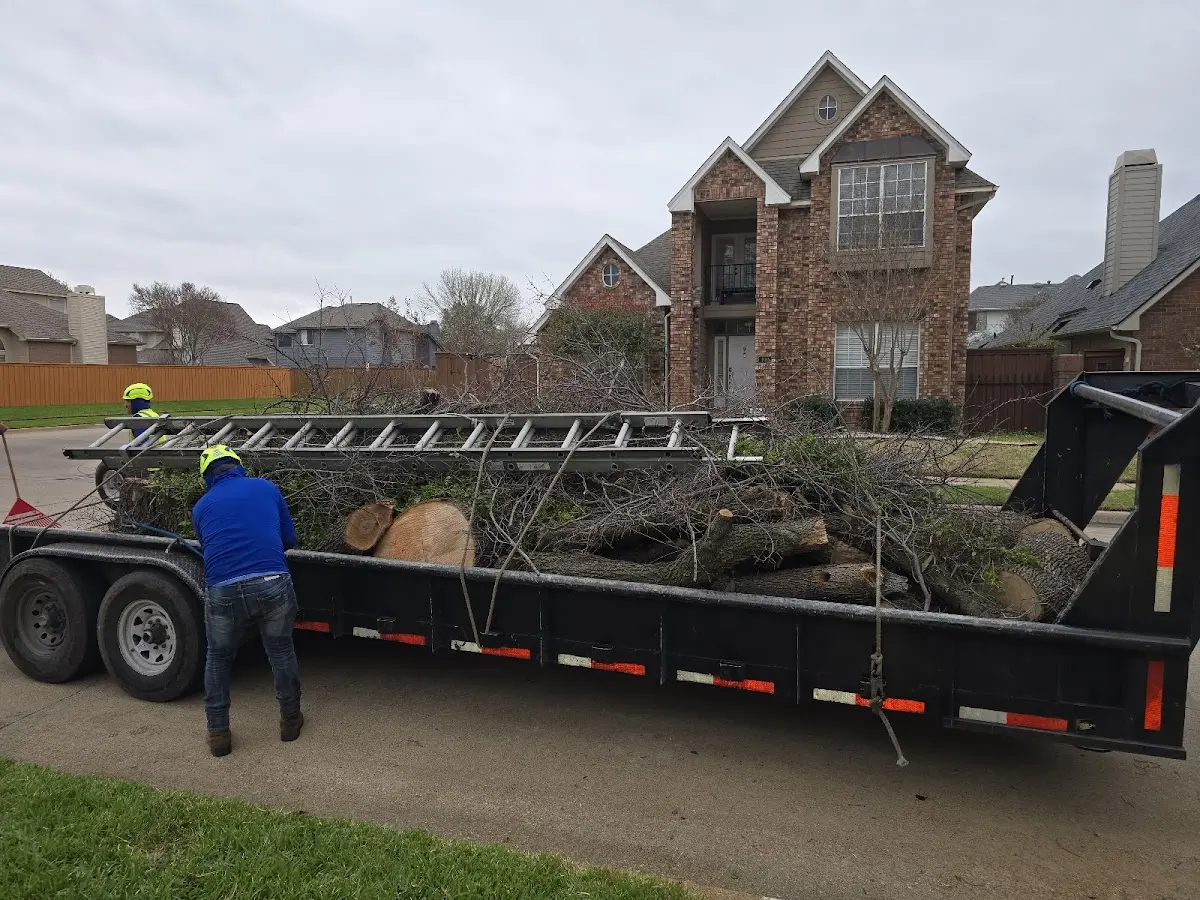 Expert Crown Reduction with proper safety equipment in West Creek